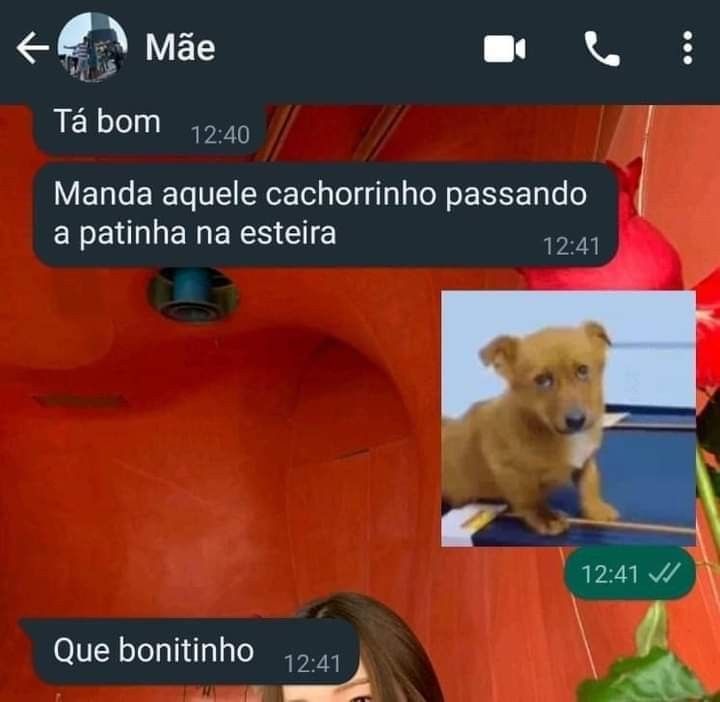 jorge (@juliaminegirl0) on Twitter photo 