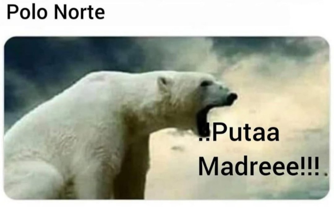 Zahikooo's tweet photo. @ymuchosmemes https://t.co/rFmcTxMMyx