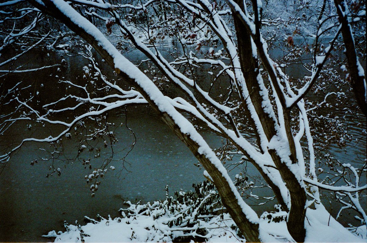 matsefcik's tweet image. Snow in Central Park on 35mm film