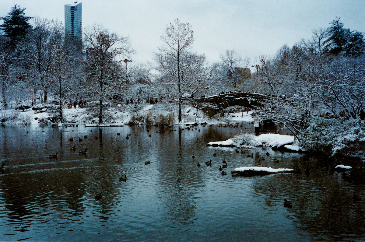 matsefcik's tweet image. Snow in Central Park on 35mm film