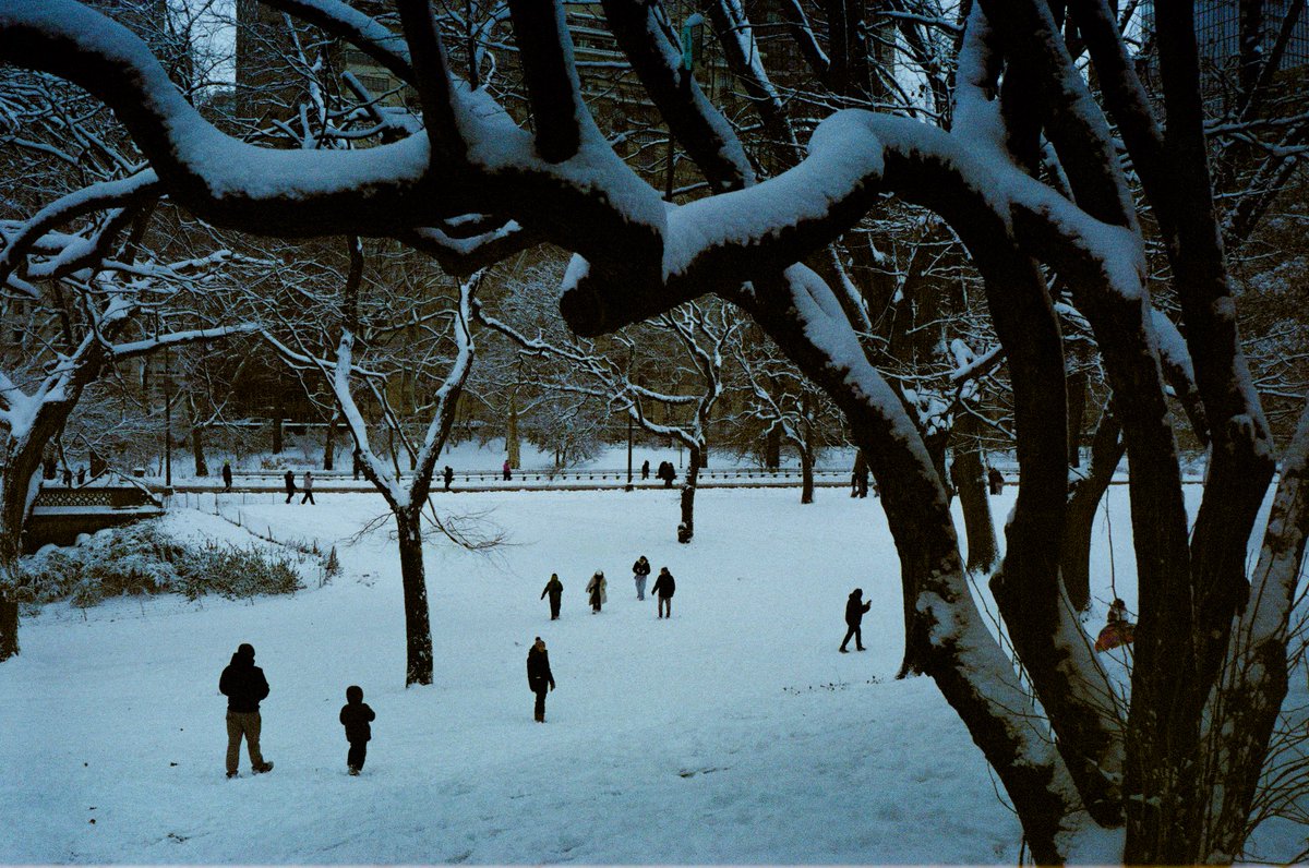 matsefcik's tweet image. Snow in Central Park on 35mm film