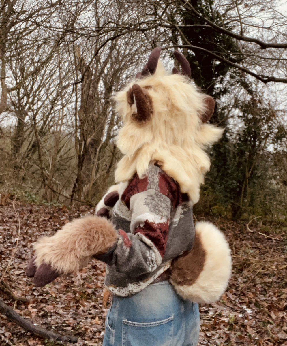 sodayeena's tweet image. 🍂🌲Cedar the Deer🌲🍂

I can finally reveal my new baby in full!! Cedar is my truesona and was so lovingly crafted for me by @OtterPopped_ 🦌

I can’t stop staring at them ahhh they’re just the cutiest patootie 😭🤎