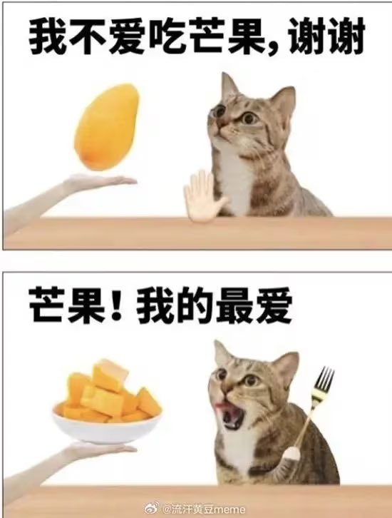 覓清吃什麼 tweet media