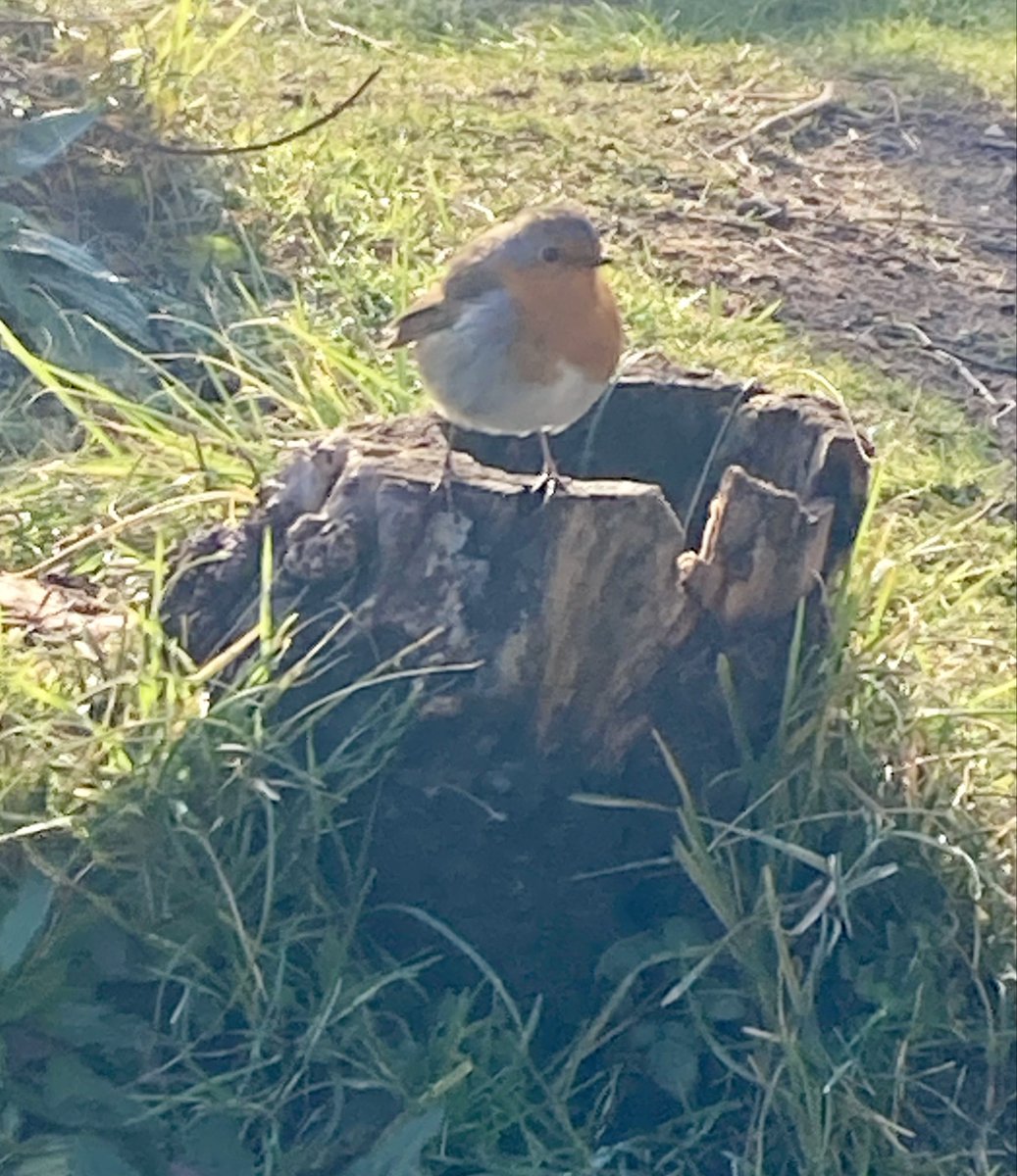 Samantha tweet media