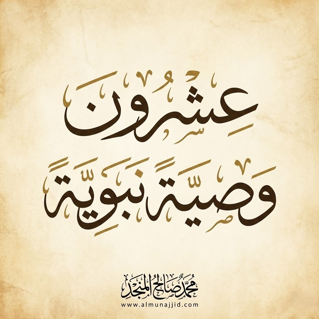 محمد صالح المنجد tweet media
