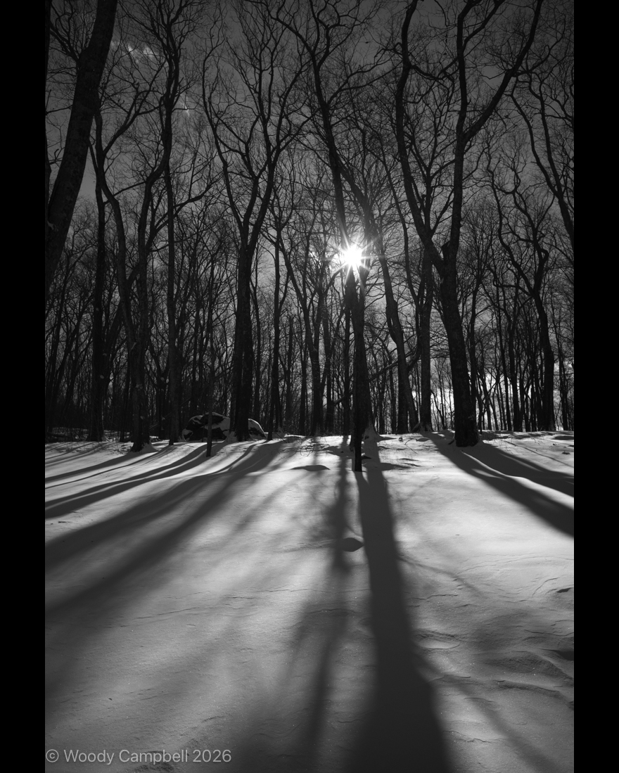 Woody_Campbell's tweet photo. WARREN CONNECTICUT – A sunstar for the New Year in this winter wonderland.  Day 5,924 of one photograph every day for the rest of my life.
#BlackAndWhite #BNW #Photo #Monochrome #DailyPhoto
#Leica #M11M #Monochrom
#sunstar #snow #warrenCT
#LitchfieldCounty  #WinterWonderland https://t.co/QEkZoS681h