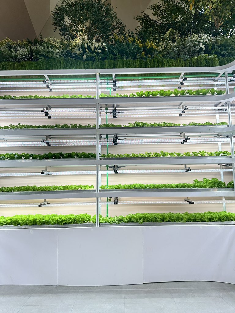 salshaindr's tweet image. eldest daughters and their quiet pattern of handling life alone.