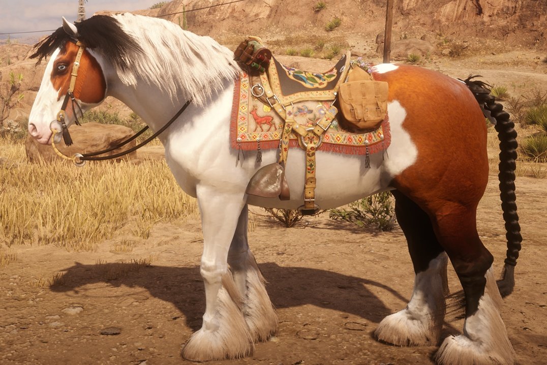 1960scoquette's tweet photo. I bought a new horse 🥹 https://t.co/DsfnBFkhm8