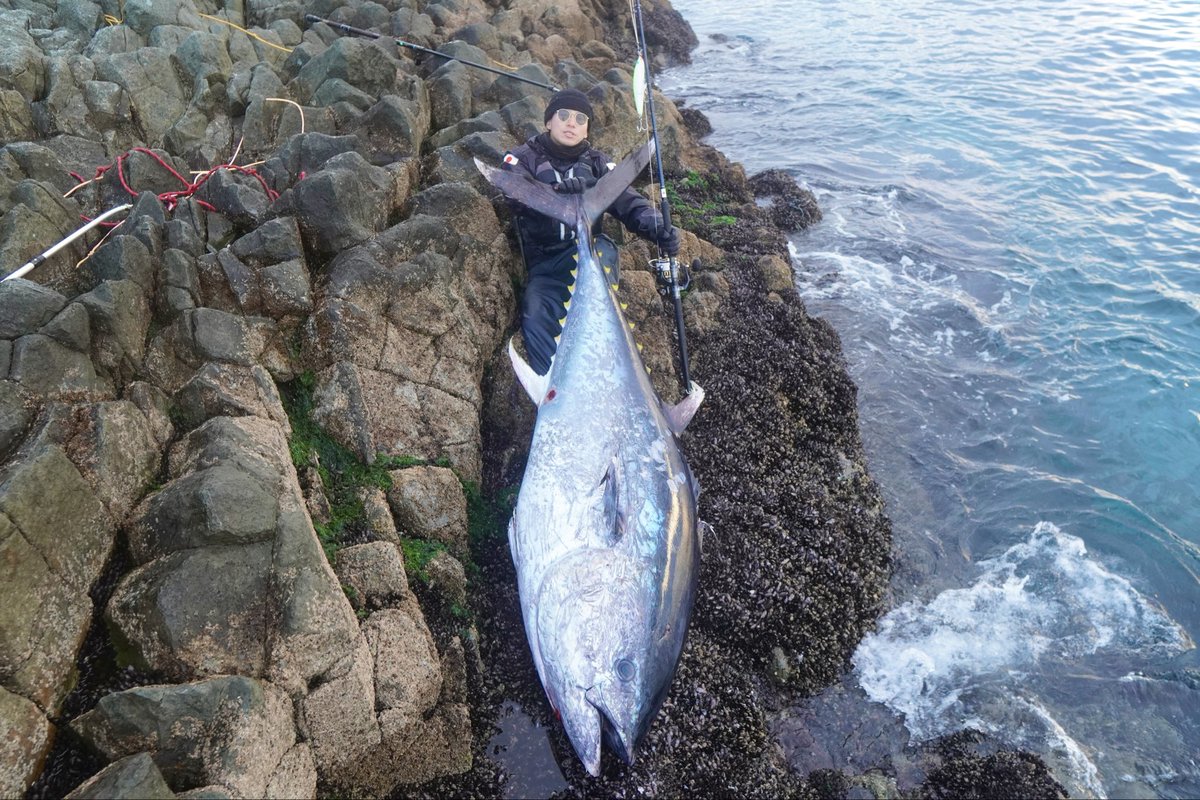 koki_2024's tweet photo. 心からありがとう。Thank you so much. #ショアマグロ #bluefintuna https://t.co/d9ubi0rbgt
