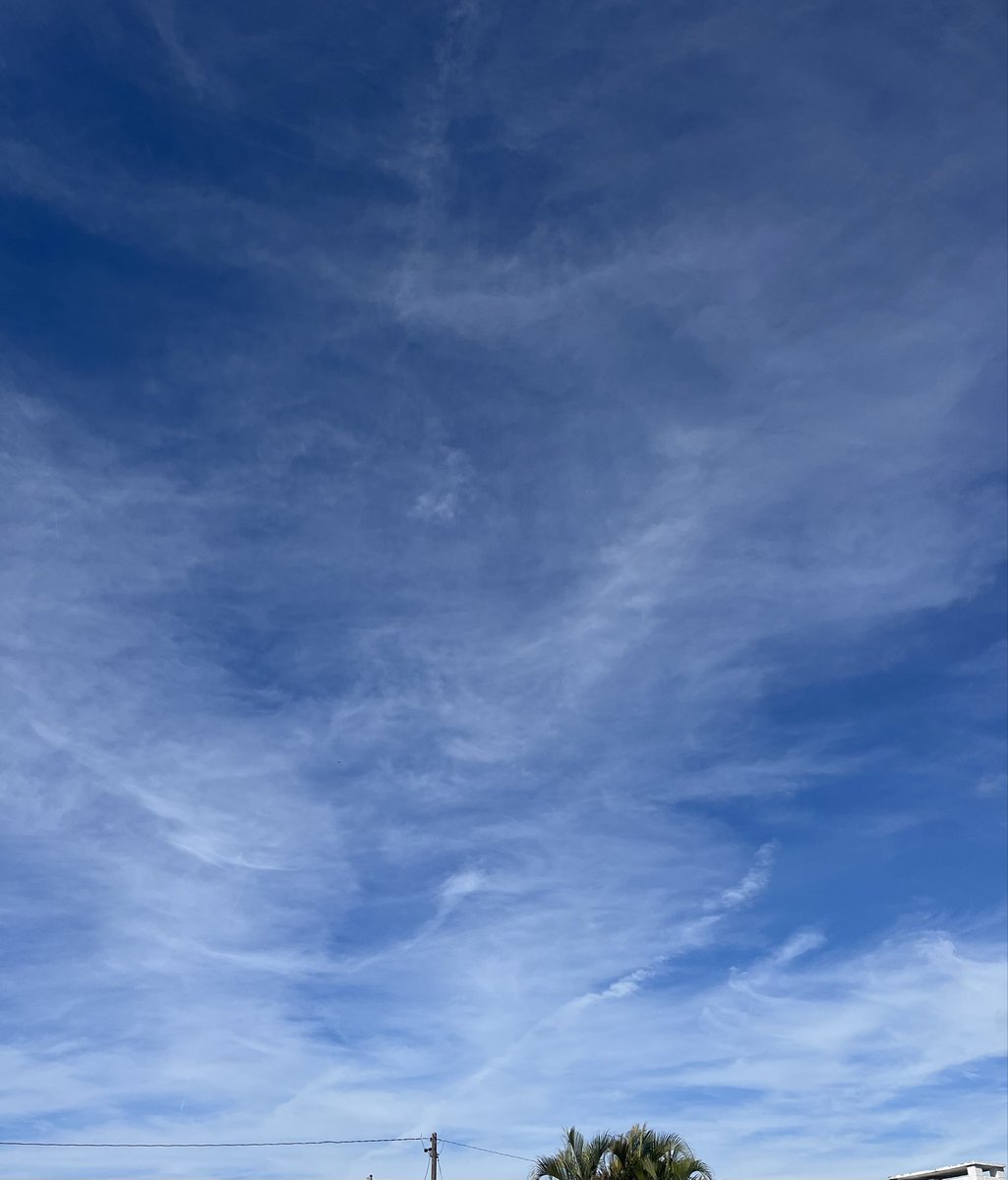 SssTammy's tweet image. Another day of constant chemtrails over Sarasota Fl.
@GovRonDeSantis  Why is this still happening??? Why don’t you care? 
What goes up must come down! Poisoning us daily. This is outrageous and people wonder why everything is dying. 
@RonDeSantis 
@VernBuchanan 
@SunSentinel