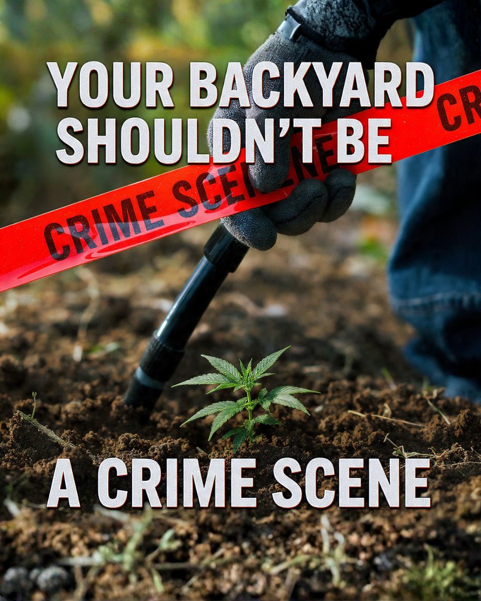 chha2020's tweet photo. Growing a simple plant in your own space shouldn't invite official scrutiny. Our homes deserve peace, not arbitrary policing. It's time to cultivate common sense laws and remove these barriers to personal freedom. #HomeGrow #EndTheWarOnCannabis #ScienceOverStigma https://t.co/qlJLyuqrCN