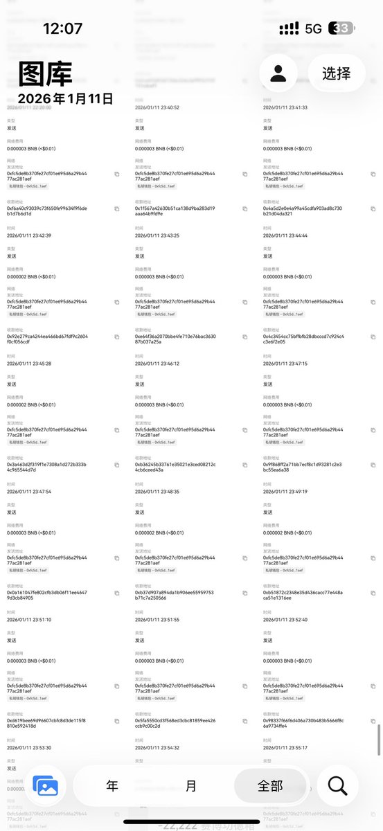 仙人掌 tweet media