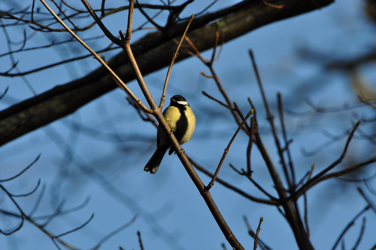 StuartBurt8's tweet image. 