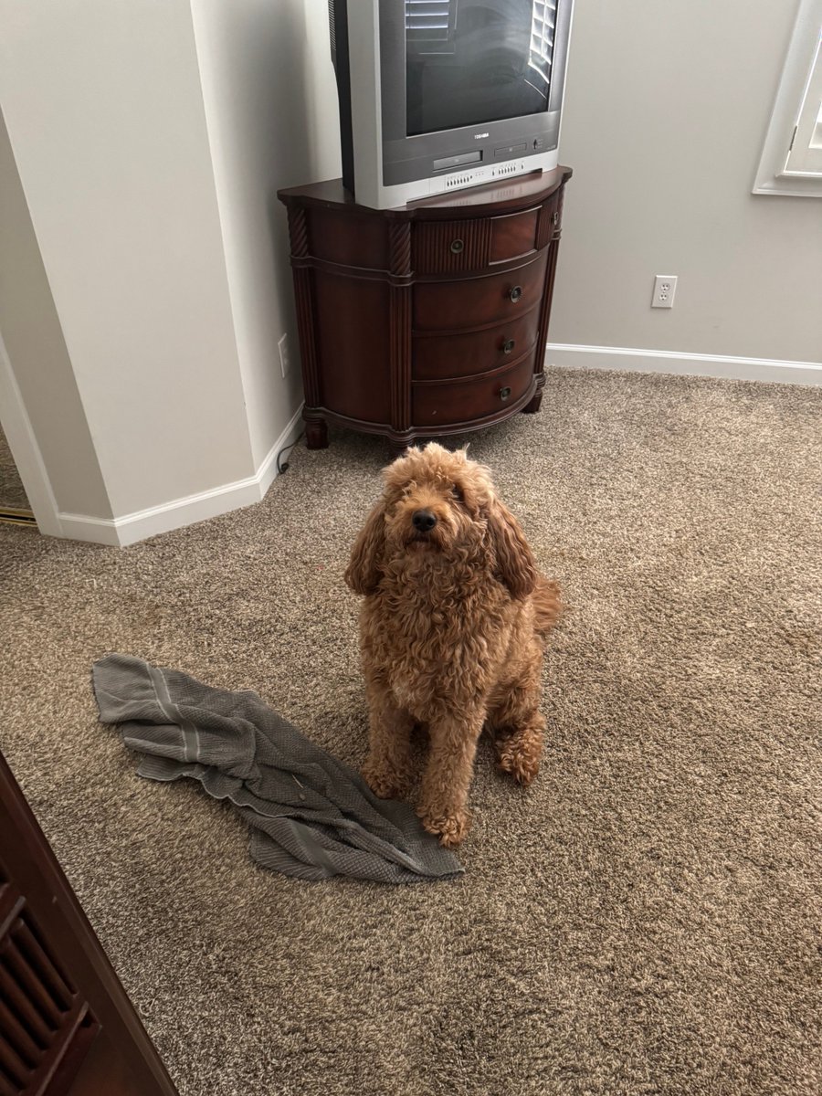 I await your orders, commander!