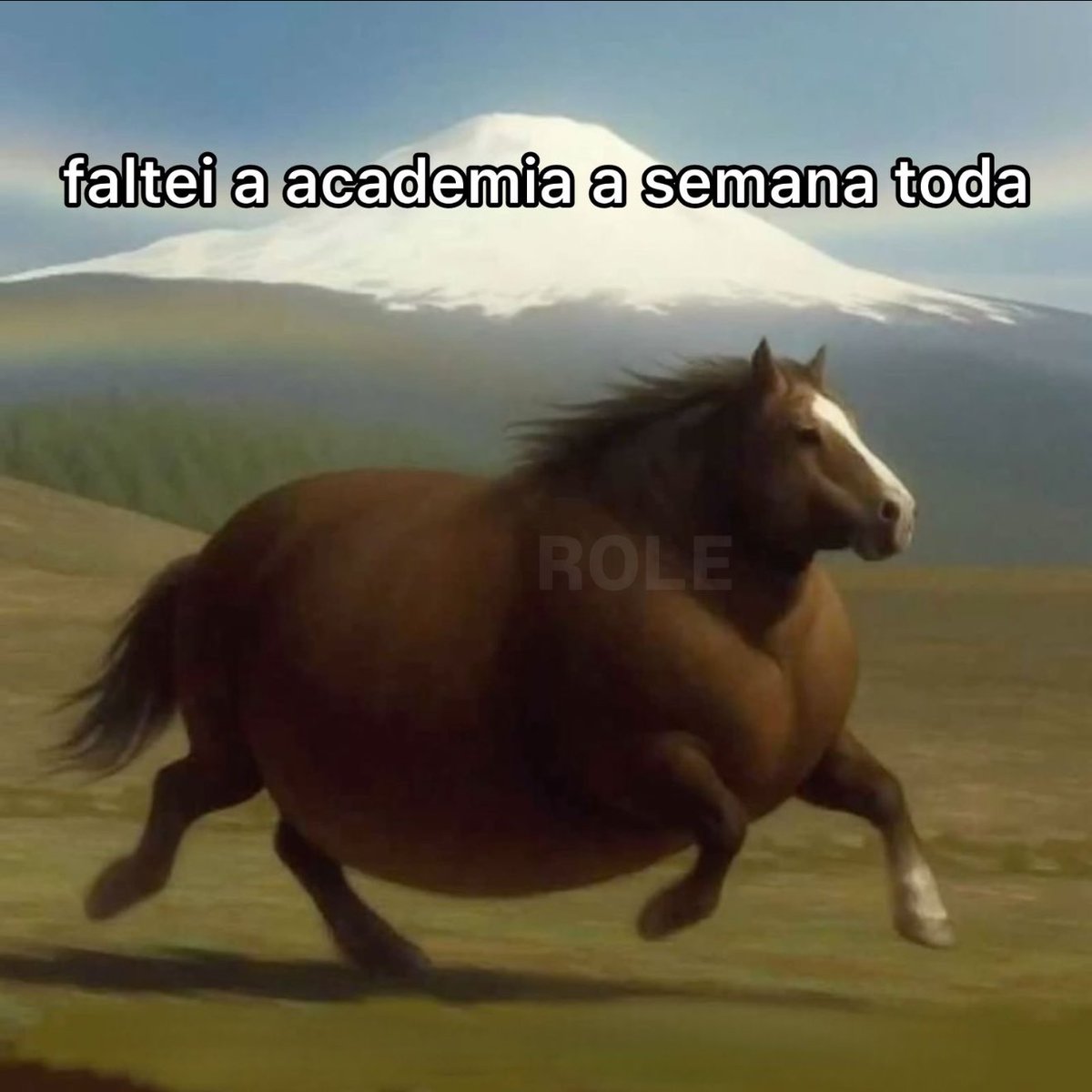 Rolê Aleatório (@rolealeatorio) on Twitter photo 