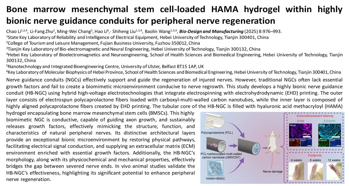 Bio-Design and Manufacturing tweet media