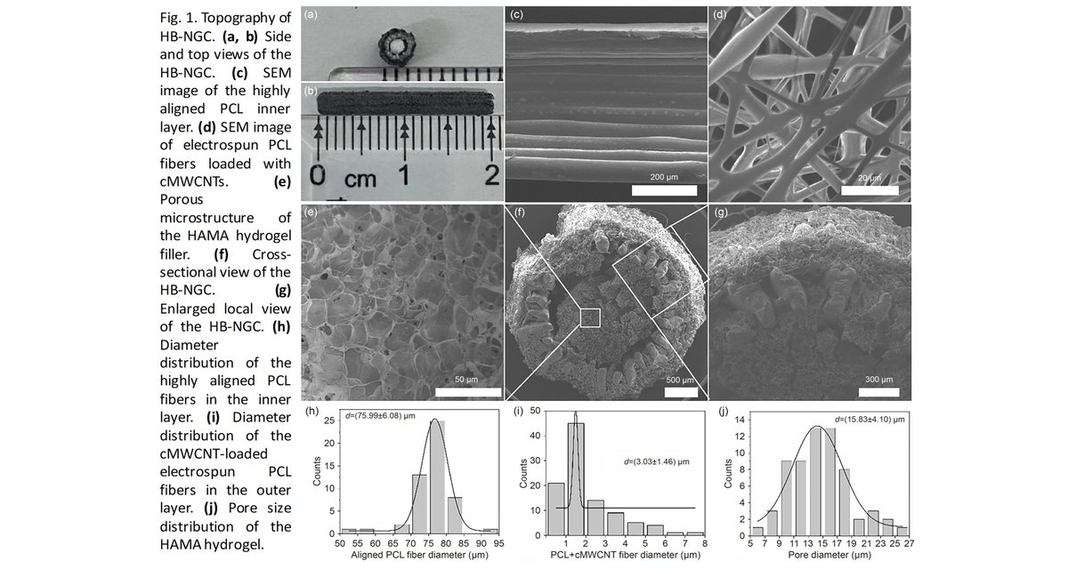 Bio-Design and Manufacturing tweet media