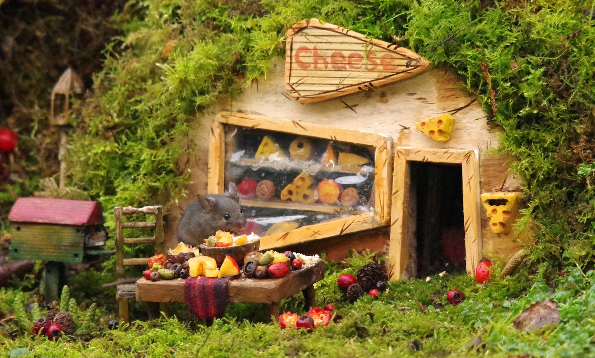 George the Mouse in a log pile house - Simon dell tweet media