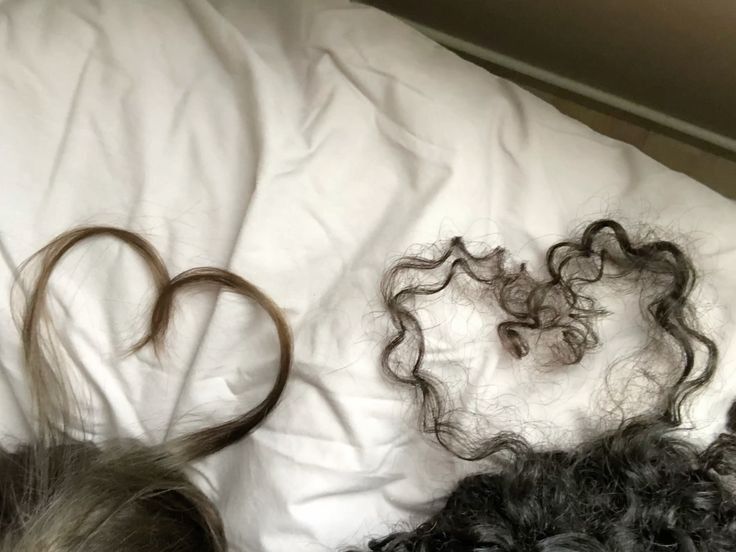 T4KEASL1CE's tweet image. #meadowlark #yaelokre

Hear me out. This is Colentine.