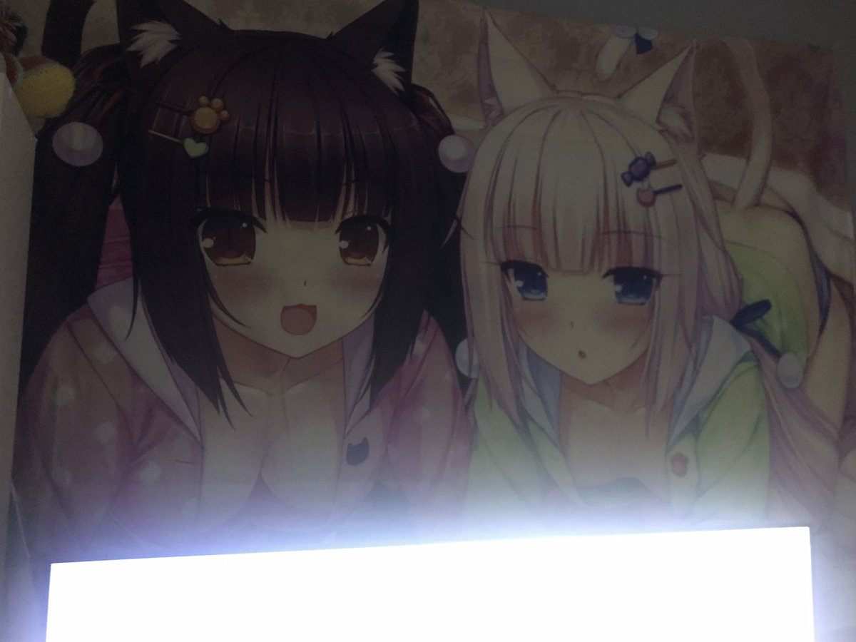 dollysweetis's tweet image. 