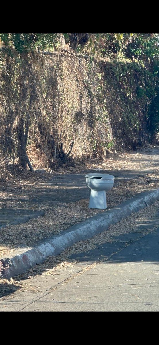 Para que ni un solo ejidatario se quede sin atender,  el <a href="/flatwhitedoble/">El Abogado Ejidal</a> despacha en este sillón desde la parcela!
