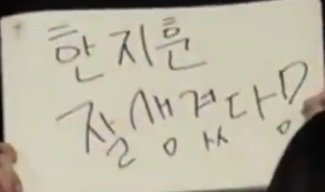 김엘리 tweet media