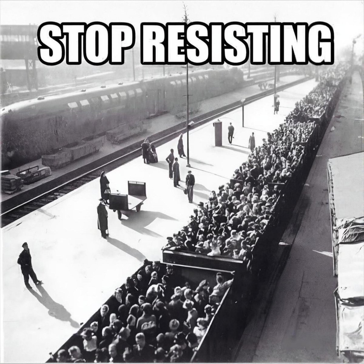 JasonBassler1's tweet image. 