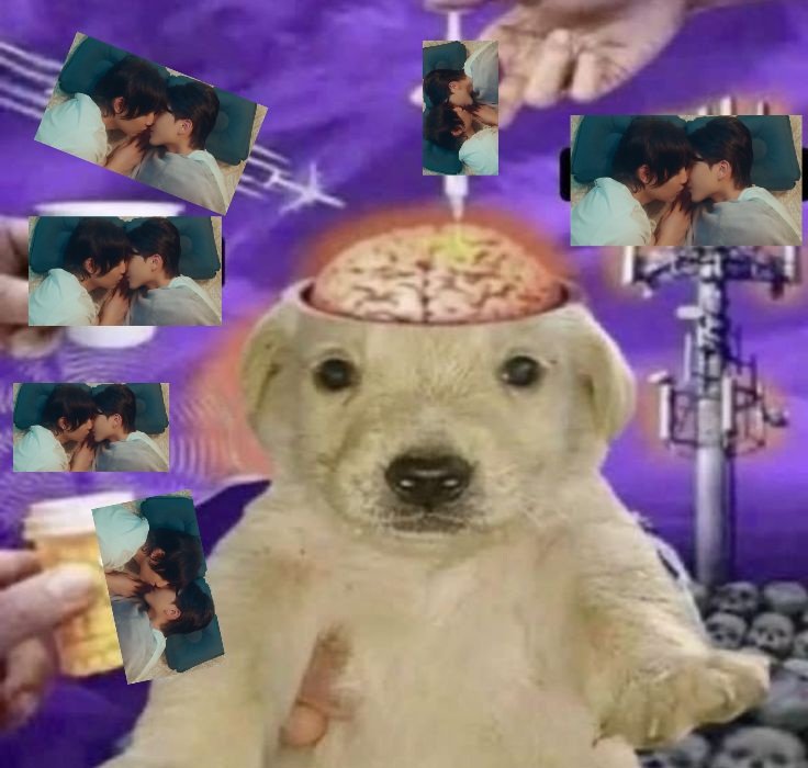 faylysu's tweet image. 