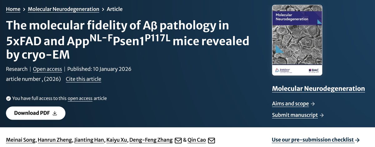 MolNeuro's tweet image. The molecular fidelity of Aβ pathology in 5xFAD and AppNL−FPsen1P117L mice revealed by #cryoEM

Meinai Song...Deng-Feng Zhang &amp;amp; Qin Cao #amyloid #AlzheimersDisease

link.springer.com/article/10.118…