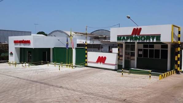 Castanhal em destaque na sustentabilidade amazônica
Uma empresa de Castanhal ganhou projeção nacional no compromisso ambiental. O Frigorífico Mafrinorte foi destaque no Radar Verde 2025, figurando entre apenas 12 grupos frigoríficos da Amazônia com os melhores índices de controle