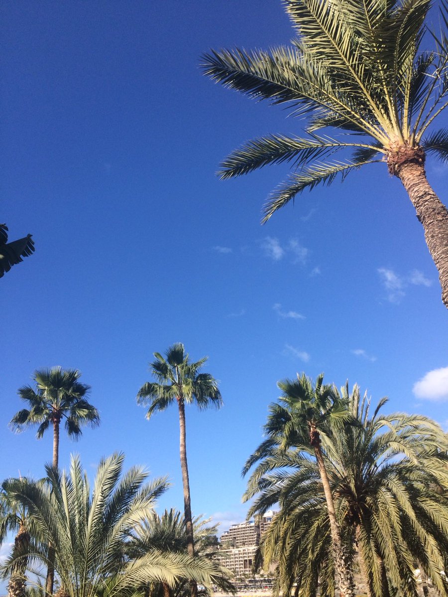 Arthur Smith tweet media