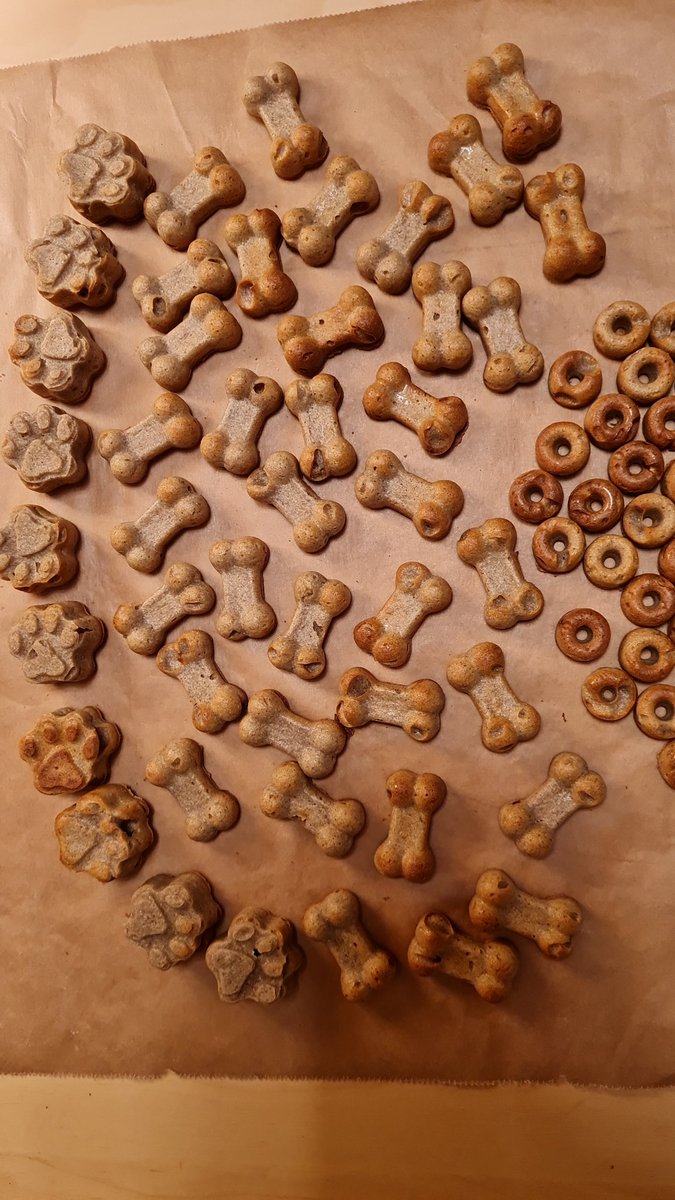 BrenaLilly's tweet image. Huhu liebes #twitterrudel❣️
🙋‍♀️ Ich hatte heute einen schönen ruhigen Nachmittag zu Hause und habe Hundeleckerlis gebacken, Kefir Pops! Die Hundis mögen die sehr gerne. Bei 30 Minuten werden sie crunchig, bei etwas weniger weicher. Vielleicht wollt ihr auch welche machen?🤗❤️