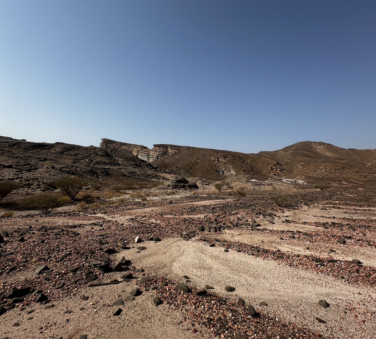 geo . Layan Alhendi tweet media