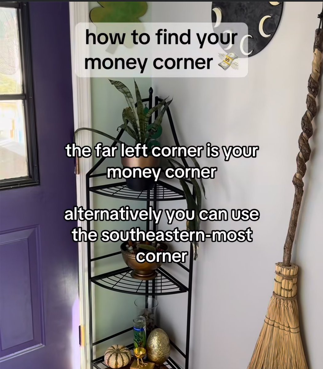 How to find your money corner. 🍀 What to put in your money corner and what to avoid to invite wealth into your home. #fengshui #witchtips #beginnerwitch #wealth #moneymagnet #witchhouse