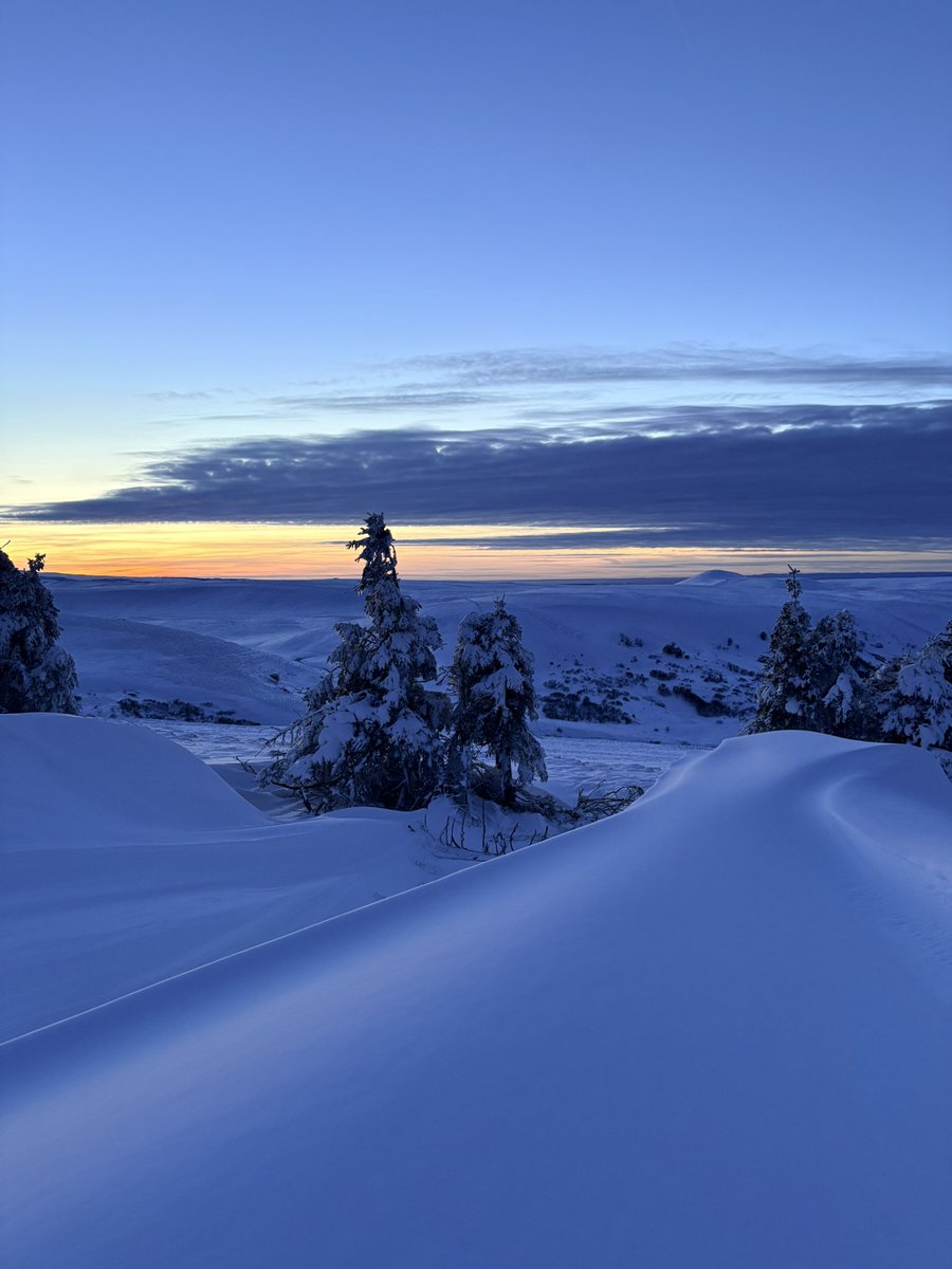 AlexisLinant63's tweet image. Quelques photos au téléphone de ce bel épisode dans le puy de dôme, comme ici dans le Cezallier en fin d’après midi 
#neige