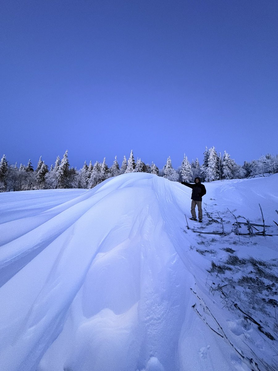 AlexisLinant63's tweet image. Quelques photos au téléphone de ce bel épisode dans le puy de dôme, comme ici dans le Cezallier en fin d’après midi 
#neige