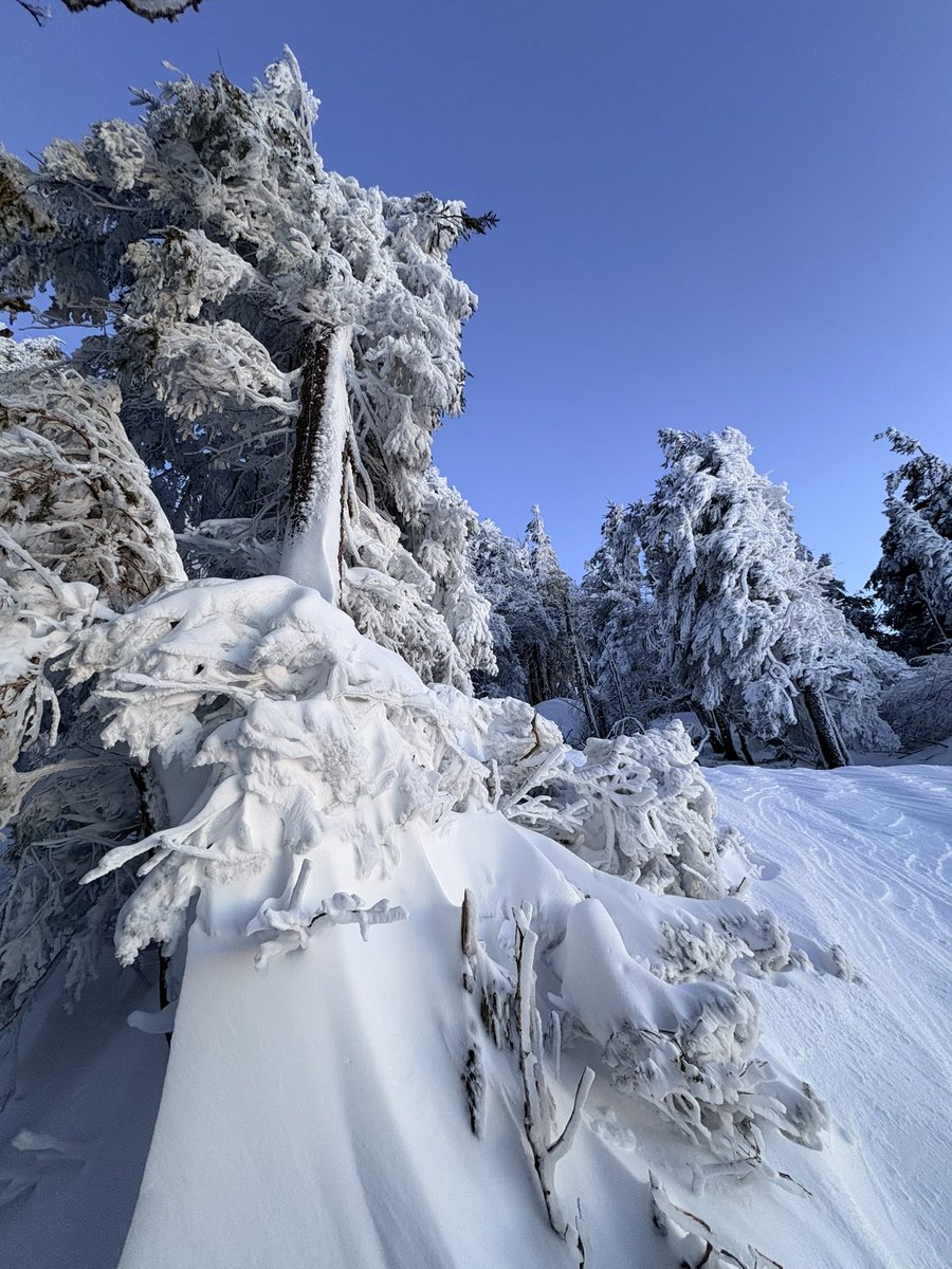 AlexisLinant63's tweet image. Quelques photos au téléphone de ce bel épisode dans le puy de dôme, comme ici dans le Cezallier en fin d’après midi 
#neige
