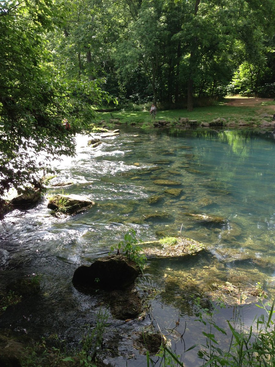 greenvibe's tweet image. 