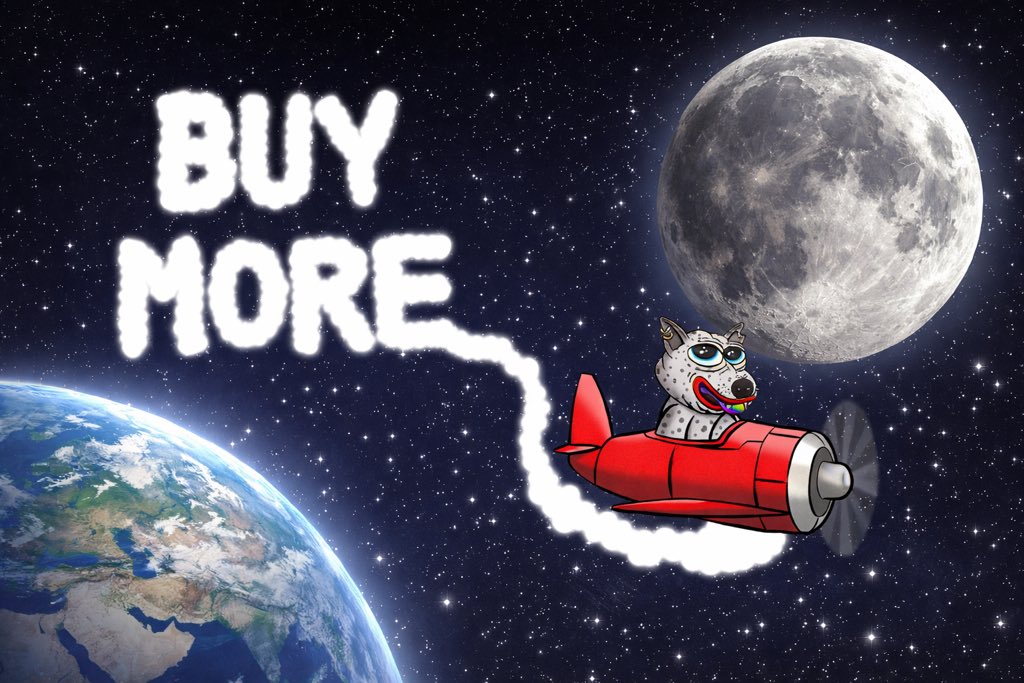 No hesitation. No pullbacks.
Just momentum.

Plane’s locked in, moon in sight 🚀
Conviction buyers load early, buy more or watch it fly without you.

$Shib $PEPE $Zeus #PEPE $Doge $Eth Pepe’s loyal dog 🐶