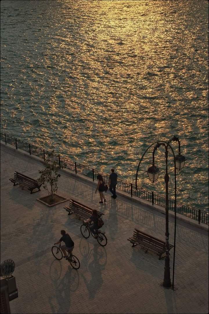 purelivn's tweet image. 