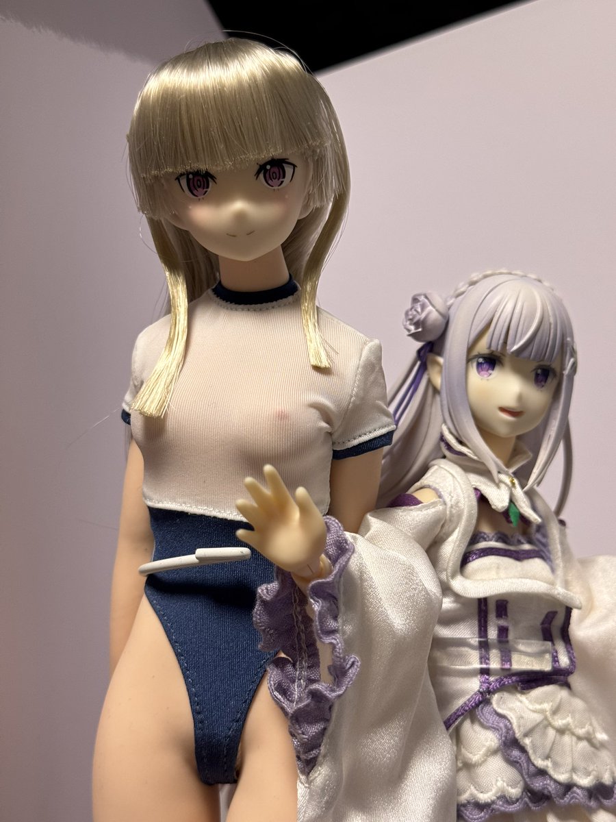 ひさびさに奥から引っ張り出してみたピュアニーモのリゼロエミリア😊
たしかまだxがTwitterだった頃にツイートした事があったなー。
本来のエミリアのヘッドがデカ過ぎて出来もイマイチで😭
だからスケールフィギュアから頭部を移植したんだっけ。今見てもいい感じ…。ボディは貧相だけど。😁 