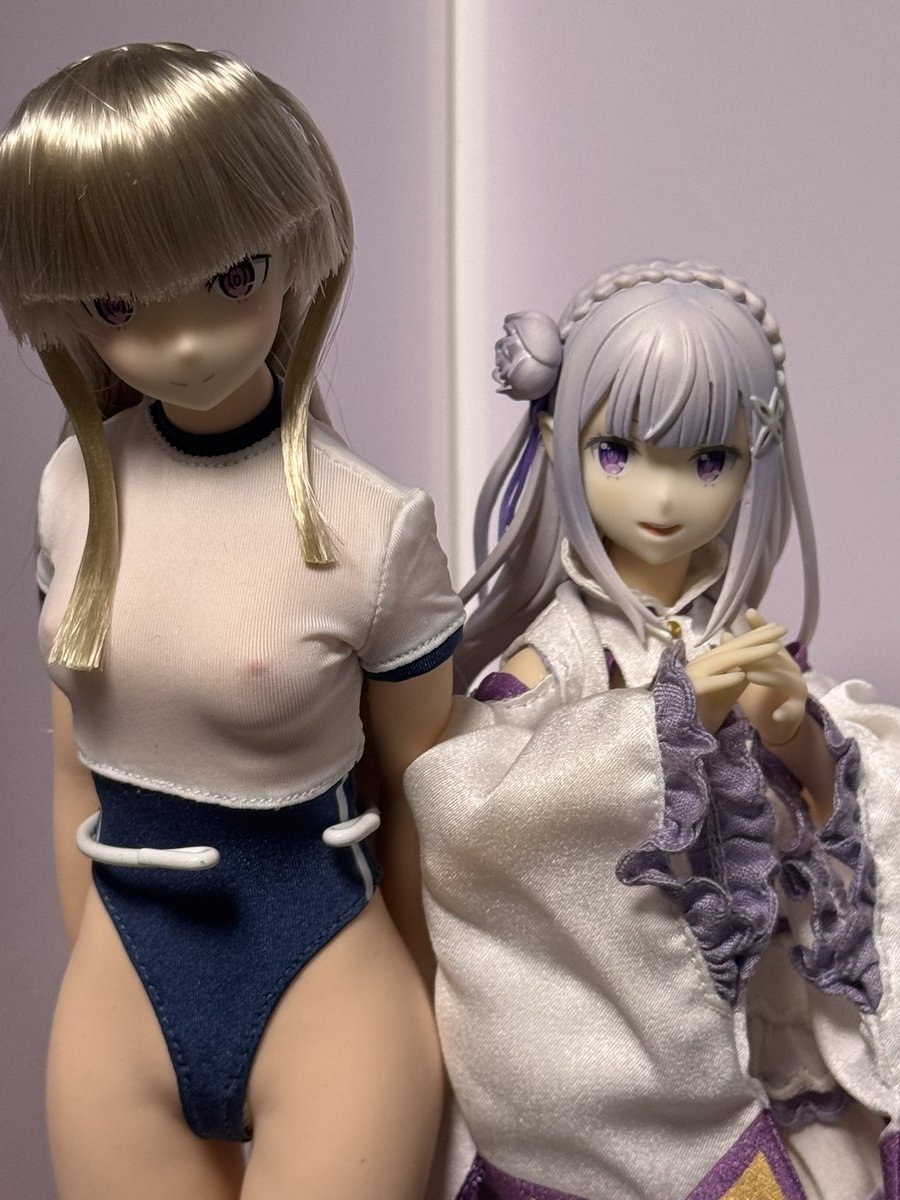 ひさびさに奥から引っ張り出してみたピュアニーモのリゼロエミリア😊
たしかまだxがTwitterだった頃にツイートした事があったなー。
本来のエミリアのヘッドがデカ過ぎて出来もイマイチで😭
だからスケールフィギュアから頭部を移植したんだっけ。今見てもいい感じ…。ボディは貧相だけど。😁 
