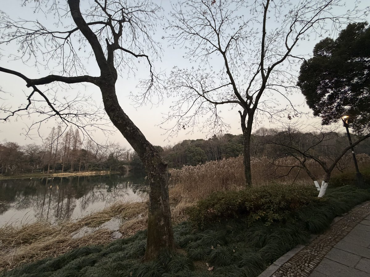 El AI ne 蓝 tweet media