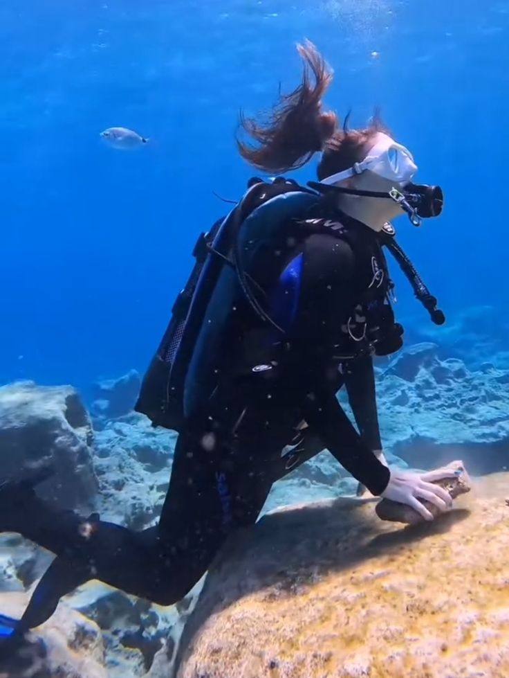 Scuba Diving Lover tweet media