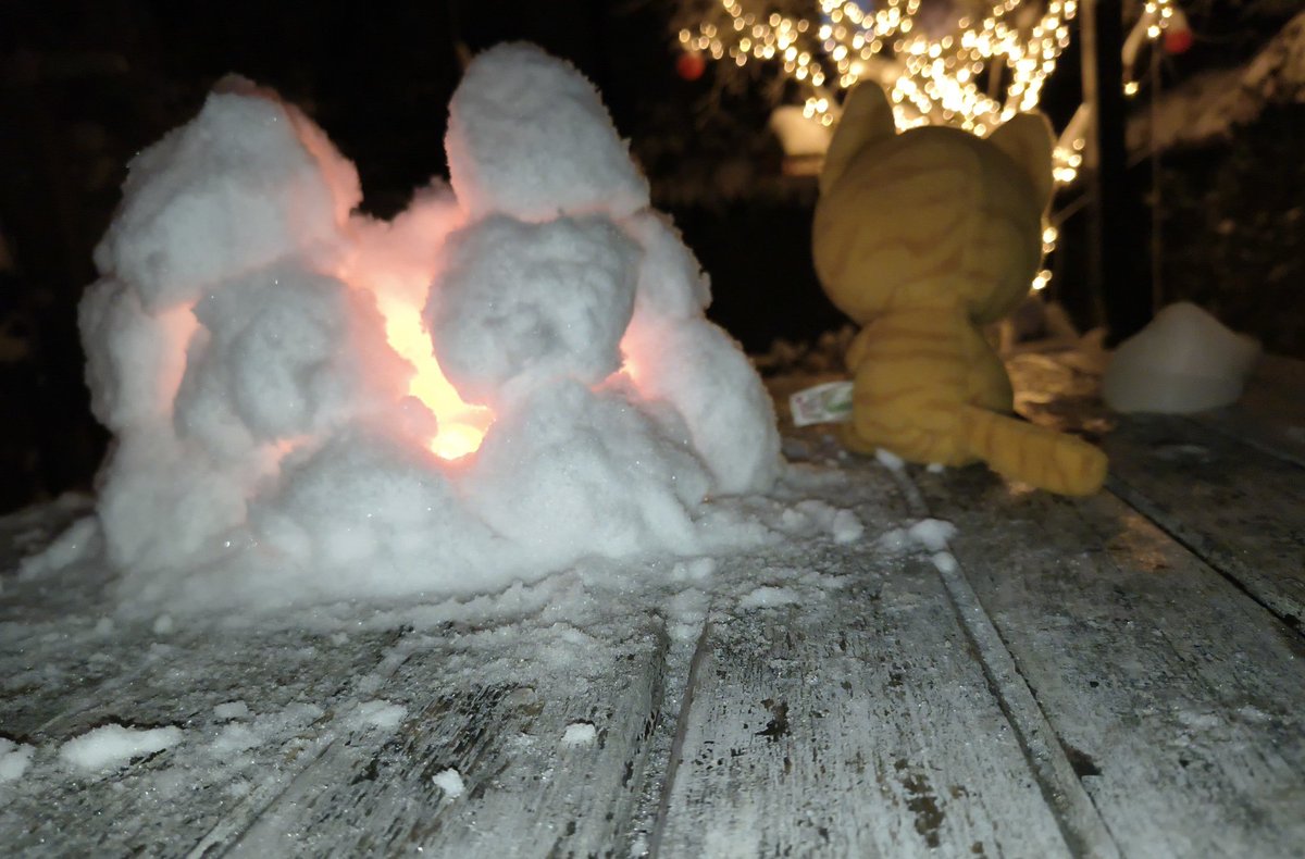 GeologistsCat's tweet image. Today Simbalito decided to have a silent #winter #hedgewatch ❤️ He has a small #fireplace in the #snow that together with his winter coat keeps him warm.
We wish everyone a wonderful Sunday evening 😻 
#CatsOfTwitter