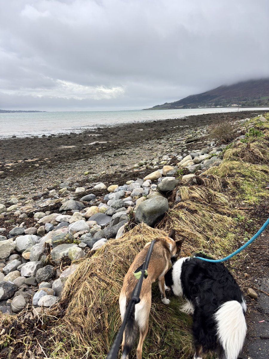 Phil Goan tweet media