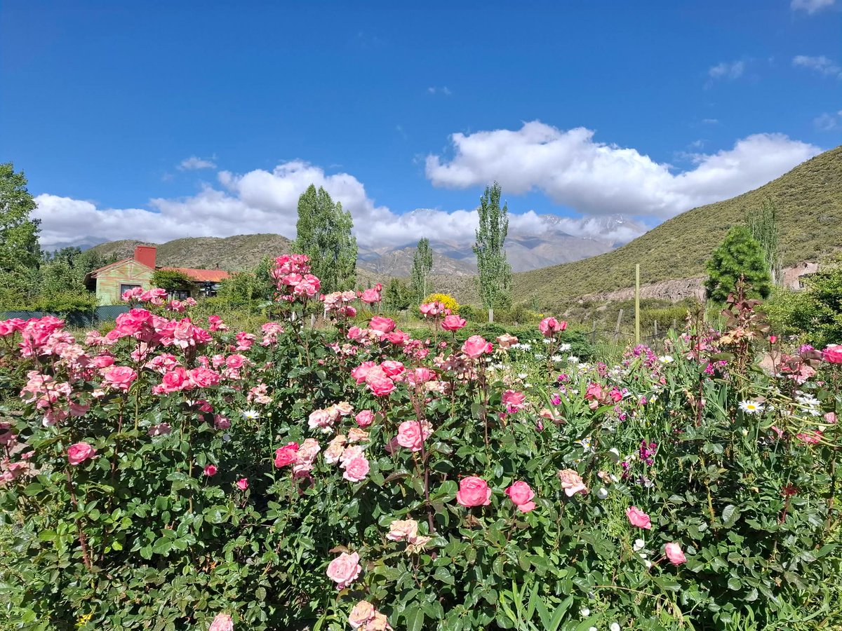 Yo digo extraño.... Y ellos dicen: Vamos....🥰🪄✨🌟💫⭐❣️🪷