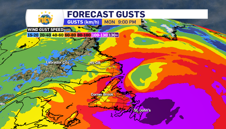 Ryan Harding tweet media