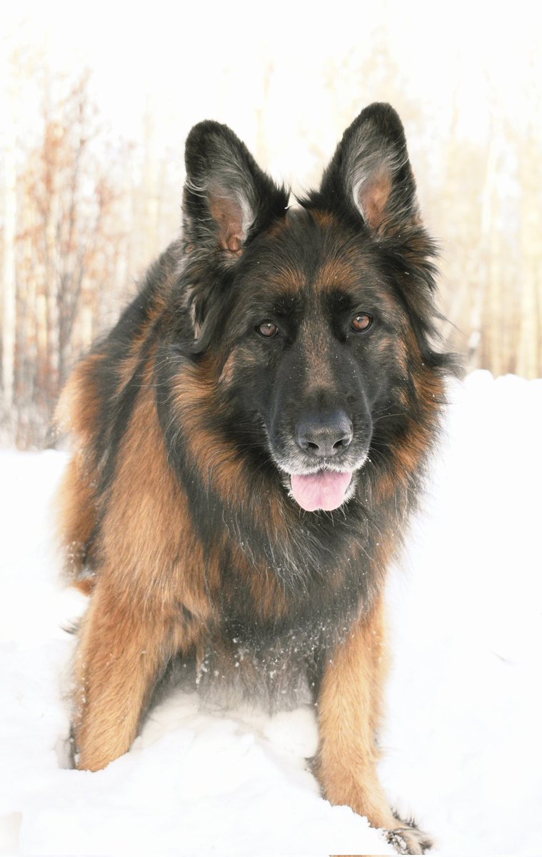 Roy Hawkins tweet media