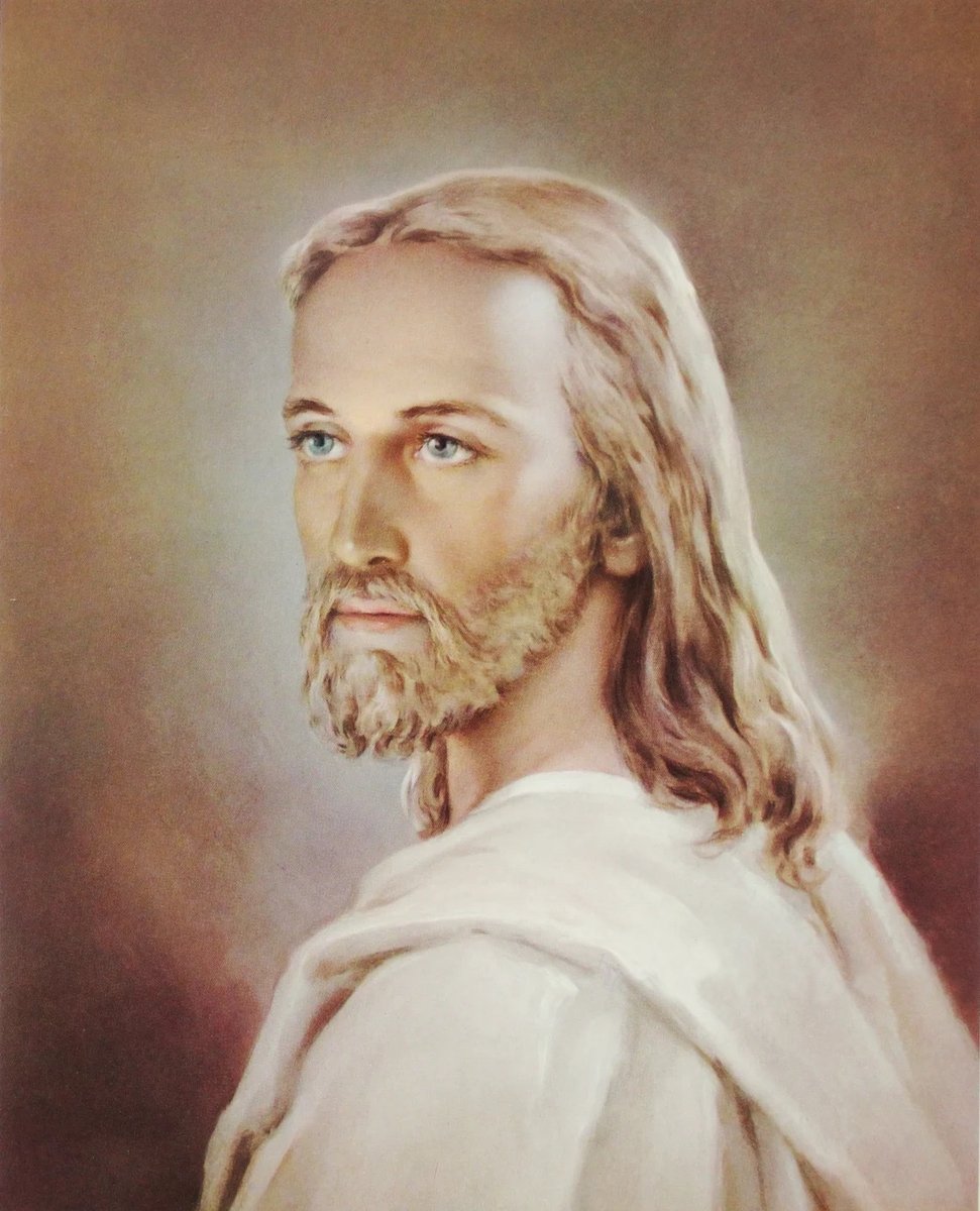 senzafinita's tweet image. 